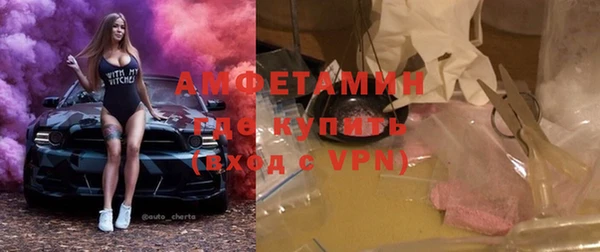 амф Дмитриев