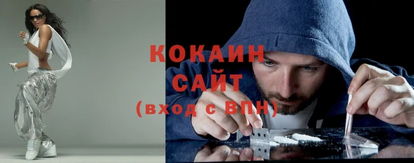 молекула духа Гусев