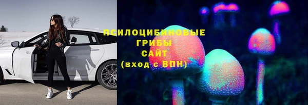 а пвп мука Гусиноозёрск