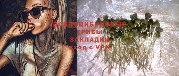 молекула духа Гусев
