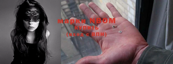 молекула духа Гусев