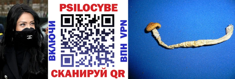 Псилоцибиновые грибы Psilocybine cubensis  продажа наркотиков  Ковров 